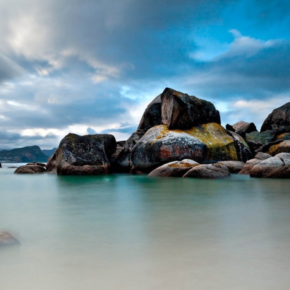 Meet your Posher, Sherrell - Picture 1 of 1